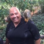 Monkey Jungle with Zip line - The Sum Up