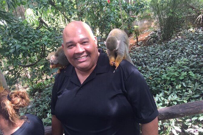 Monkey Jungle with Zip line - The Sum Up