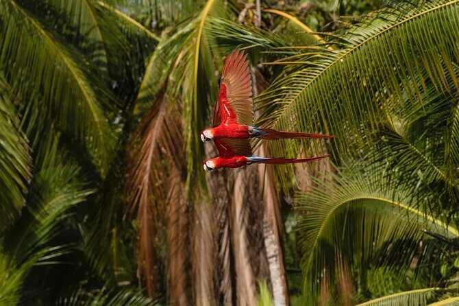 Monkey Mangrove tour - Final Thoughts