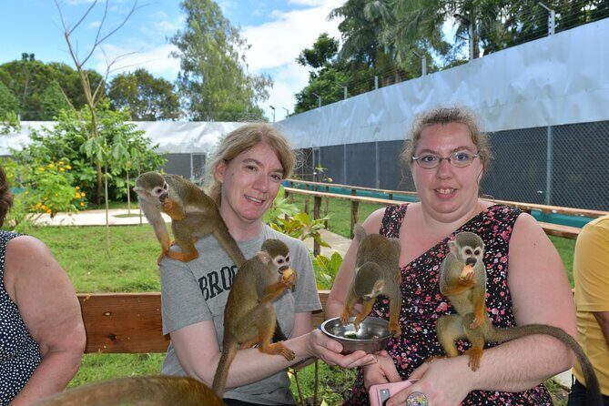 Monkey Tour Interaction and Damajagua waterfalls in Puerto Plata. - FAQ