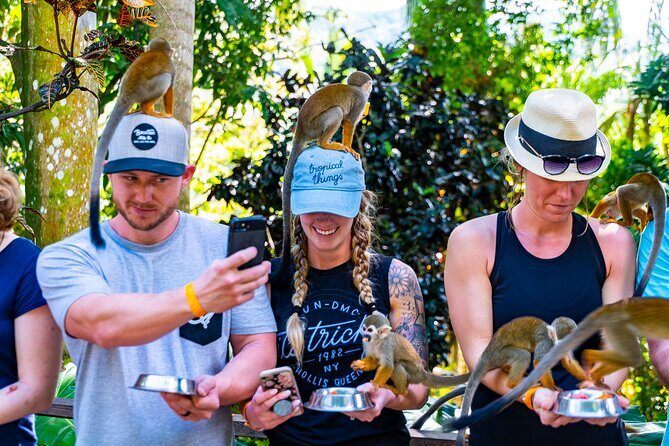 Monkeyland and Plantation Safari Tour from Punta Cana - Final Thoughts