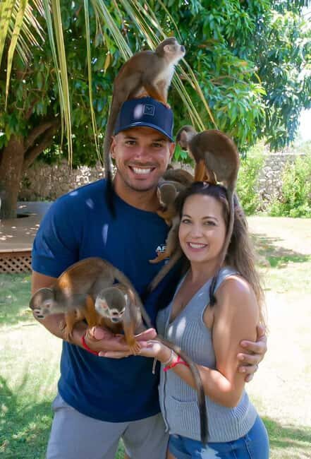 Monkeyland and Plantation Tour from Puerto plata - Why This Tour Is a Great Choice