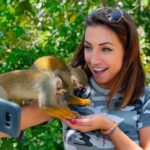 Monkeyland & Plantation Safari Full Day from Juan Dolio - In-Depth Look at the Experience