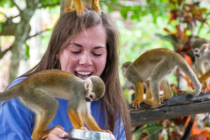 Monkeyland Samana Shared Adventure - Who Will Love This Tour?