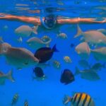 Monkeys and Snorkel Adventure in Sosúa, Puerto Plata - Final Thoughts