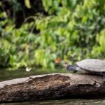 MONKEY´S EXCURSION 2D/1N - Authentic Experiences and Worthwhile Highlights