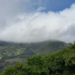 Monserrate Express tour 3 hrs - A Closer Look at the Monserrate Express Tour