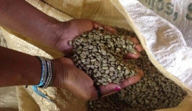 Monte Alto Coffee Tour: Jarabacoa Plantation Experience - FAQs