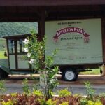 Montego Bay Airport Private Taxi Transfer To Negril Hotels - Who Is This Transfer Ideal For?