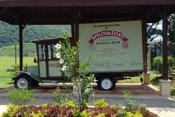 Montego Bay Airport Private Taxi Transfer To Negril Hotels - Who Is This Transfer Ideal For?