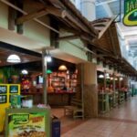 Montego Bay Airport Private Transfer to Montego Bay Hotels - Why Choose This Private Transfer?