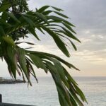 Montego Bay Airport Transport to Sandals White House - FAQ