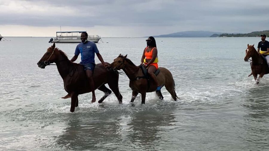 Montego Bay: Blue Hole & Horseback Riding Adventure - Who Will Enjoy This Tour?