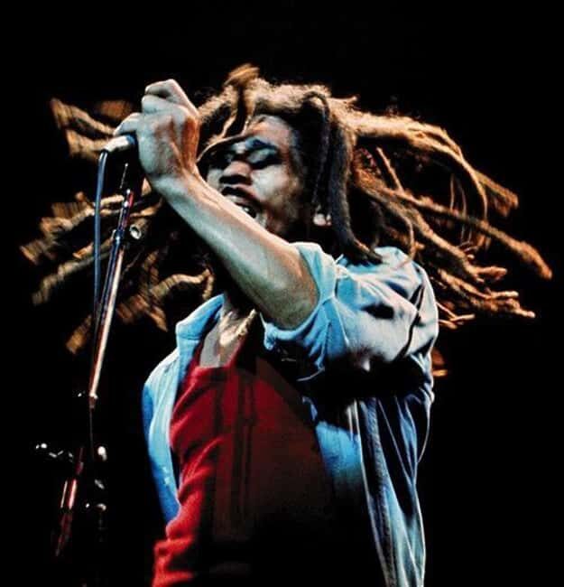 Montego Bay: Bob Marley Tour to 9 Mile, St. Ann - The Sum Up