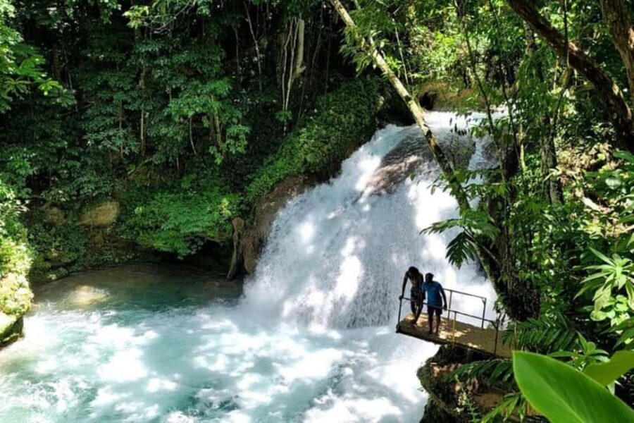 Montego Bay: Chuck Norris Falls & Dunn's River Falls Tour - What Makes This Tour Stand Out?