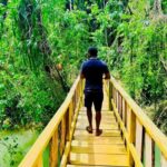 Montego Bay: Cockpit Caves Experience - Who Would Enjoy This Tour?