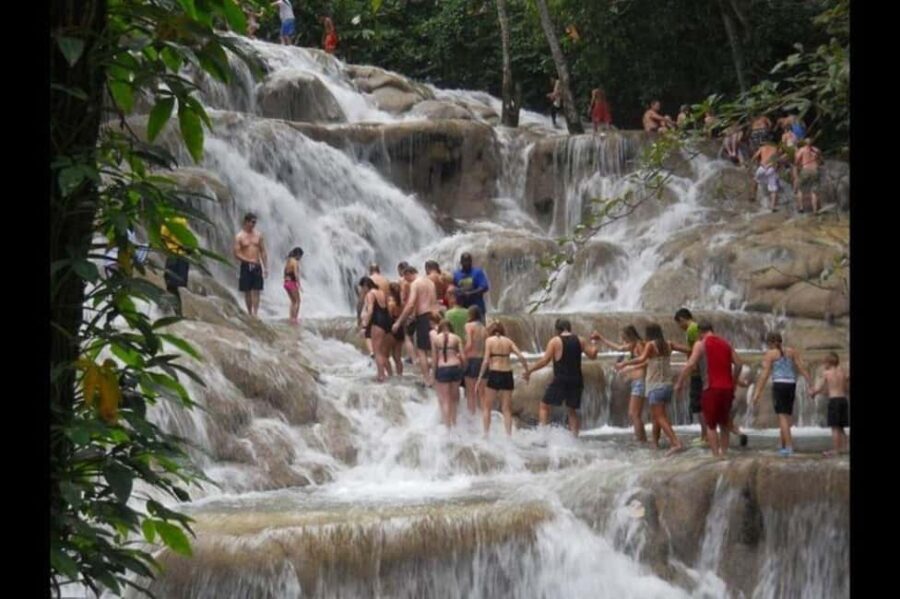 Montego Bay: Dunn's River and Secret Falls with Tubing - Who Will Love This Tour?