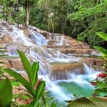Montego Bay: Dunn's River Falls & Horseback Riding Adventure - Why This Tour Will Likely Suit You