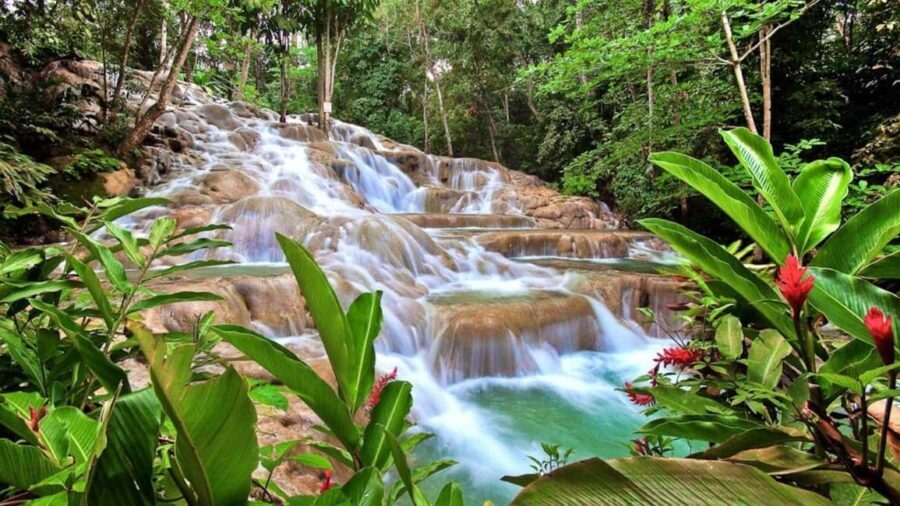 Montego Bay: Dunn's River Falls & Horseback Riding Adventure - Why This Tour Will Likely Suit You