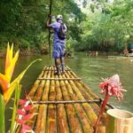 Montego Bay Highlights Tour, Bamboo Rafting Experience & Shopping - Chill on the Hip Strip