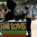 Montego Bay Highlights Tour with Shopping & Bamboo River Rafting - Who Should Book This Tour?