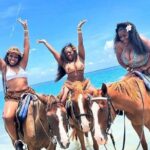 Montego bay horseback ride and swimming Adventure - Final Thoughts