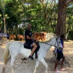 Montego Bay: Horseback Riding and Dunn's River Falls Tour - What to Expect and Practical Tips