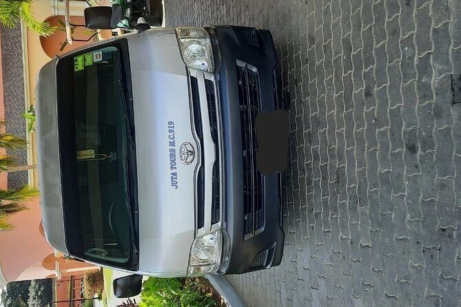 Montego Bay Hotels Private Airport Transfer - What Travelers Say (Based on Reviews)