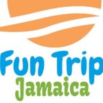 Montego Bay Hotels & Resorts Airport Private Transfer - Who Should Choose This Transfer?