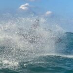 Montego Bay: JetSki Adventure - Authenticity and Value