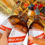 Montego Bay Magic: Jamaicas Vibrant Heartbeat Tour - A Closer Look at the Montego Bay Magic Tour