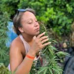 Montego Bay: Marijuana Farm and Bird Sanctuary Tour - Final Thoughts: Is This Tour Worth It?