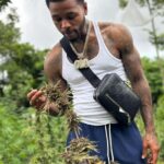 Montego Bay Marijuana Farm Private Tour - A Detailed Look at the Montego Bay Marijuana Farm Private Tour