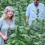 Montego Bay: Marijuana Farm Private Tour with Transportation - What to Expect at the Farm