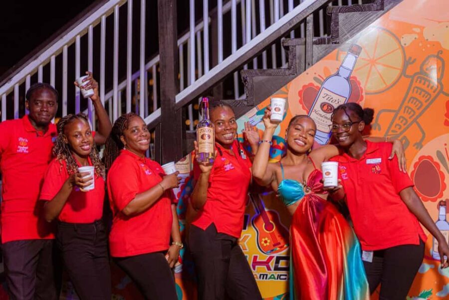 Montego Bay: Poko Loko Floating Bar Island Chill Tour - What to Expect from the Poko Loko Floating Bar Island Chill Tour