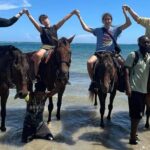 Montego Bay Private Airport Transfer - Why Travelers Love This Service