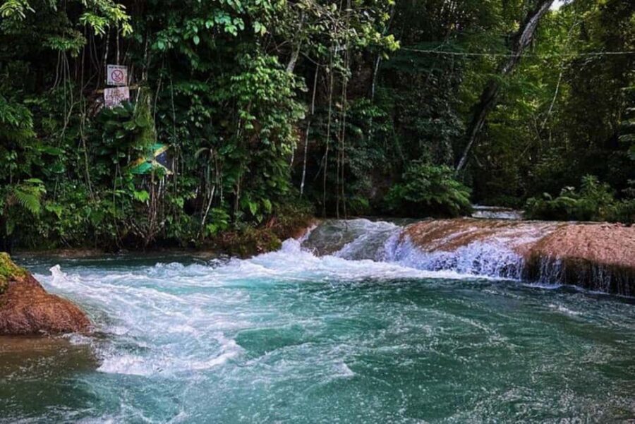 Montego Bay: Private Dunn's River Falls and Blue Hole Tour - Discovering Jamaica’s Top Natural Treasures