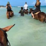 Montego Bay: Private Horseback Ride & Blue Hole Tour - In-Depth Analysis of the Value
