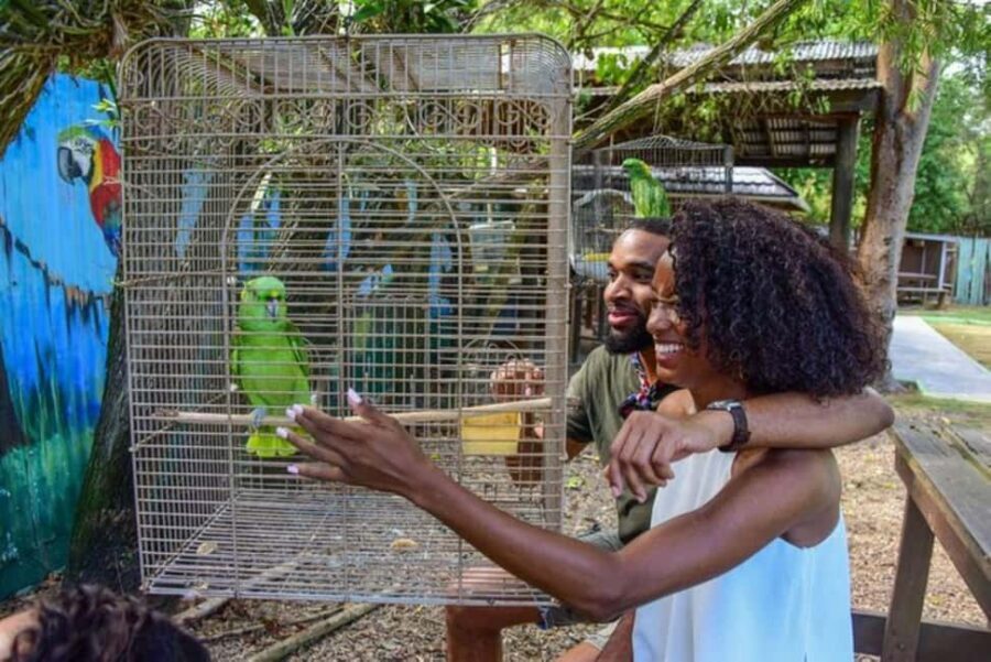 Montego Bay: Private Rocklands Bird Sanctuary Trip - Who Should Consider This Tour?