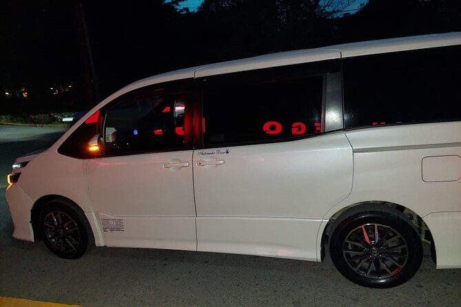 Montego Bay Private Transfer with Airport Pickup and Dropoff - Who Should Book This Transfer?