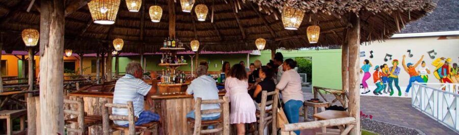 Montego Bay Shopping & Power Lunch - Who Should Consider This Tour?