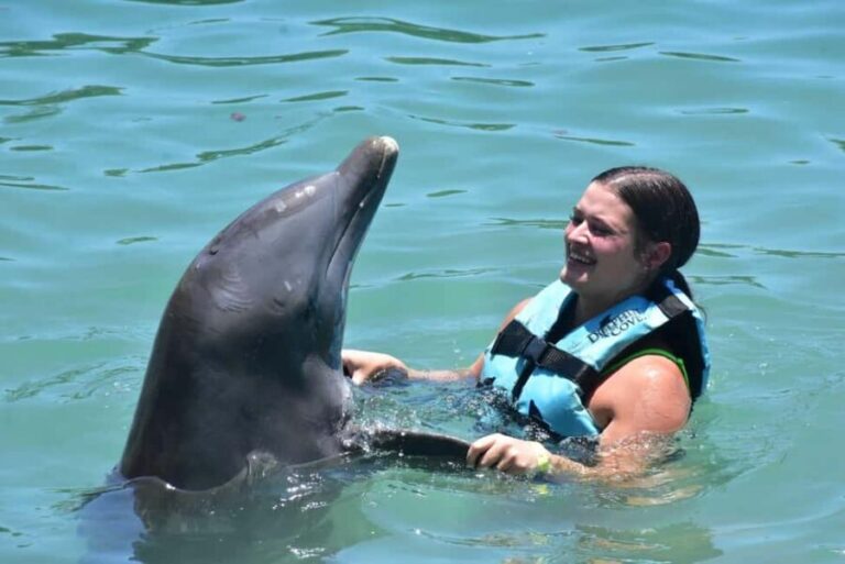Montego Bay: Swim With The Dolphins Adventure in Lucea - Who Should Consider This Tour?