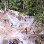Montego Bay to Dunn's River Falls Half-Day Trip - A Deep Dive into the Dunn’s River Falls Half-Day Tour