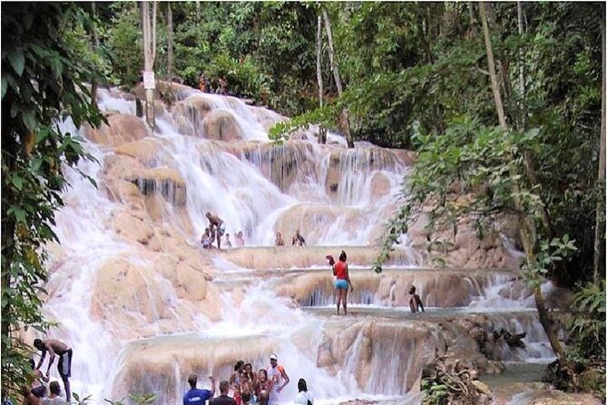 Montego Bay to Dunn's River Falls Half-Day Trip - A Deep Dive into the Dunn’s River Falls Half-Day Tour