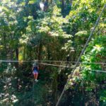 Montego Bay: Zip-Line Rainforest Tour with Pool & Gardens - A Scenic Start: Hotel Pickup & Scenic Drive