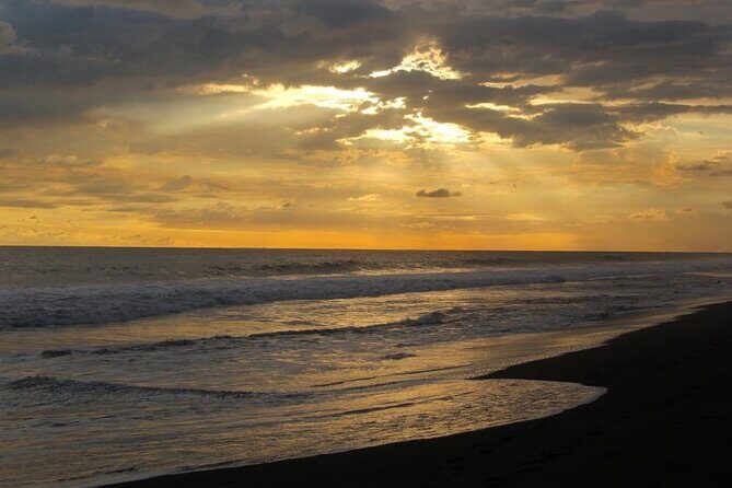 Monterrico Hawaii Beach with Day Pass from Antigua Guatemala. - A Deep Dive into the Monterrico Day Trip