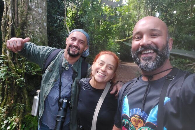 Monteverde Birdwatching Experience - Who Will Love This Tour?