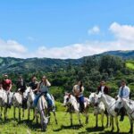 Monteverde Cloud Forest Horseback Riding - Who Will Love This Tour?