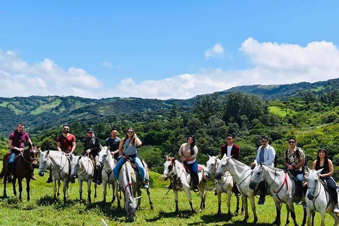 Monteverde Cloud Forest Horseback Riding - Who Will Love This Tour?