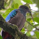 Monteverde Cloud Forest Nature Tour - FAQs